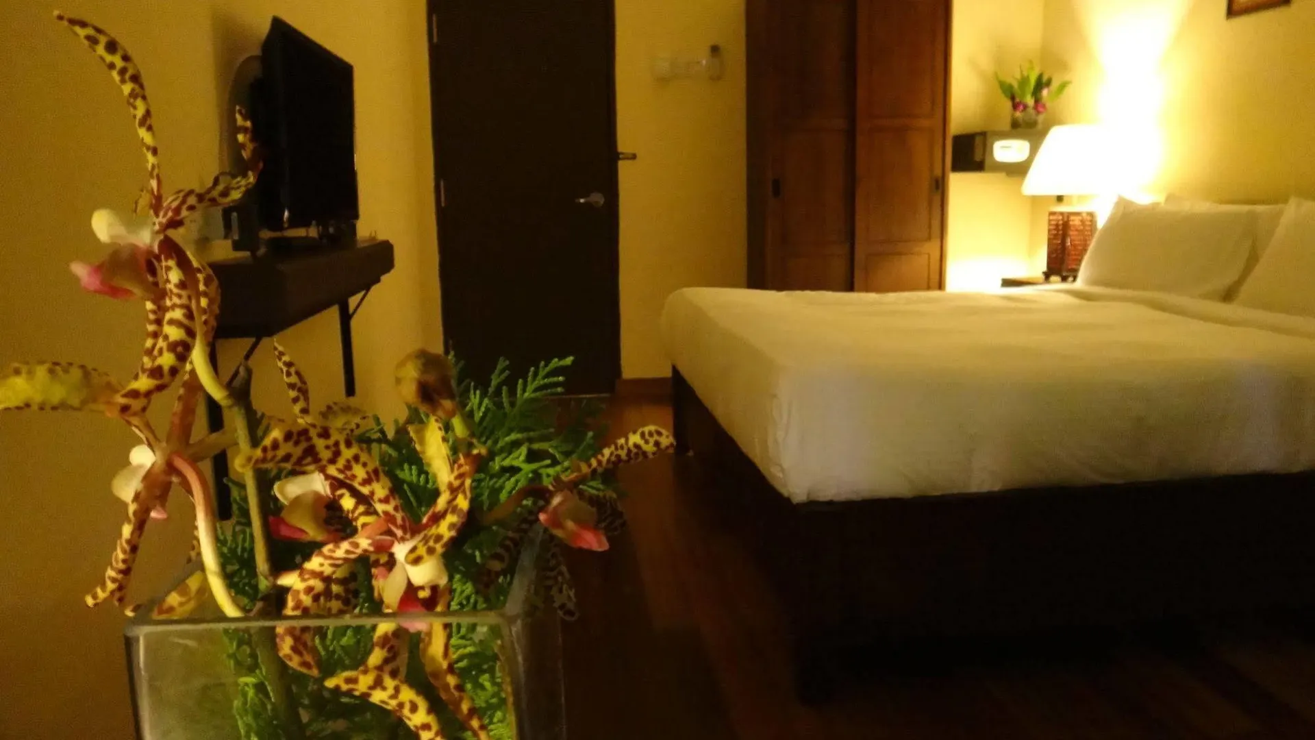 ג'ורג' טאון Betel Nut Lodge (Adults Only) ג'ורג' טאון