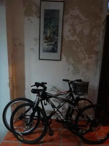 乔治敦 贝特尔纳特旅馆酒店 酒店
